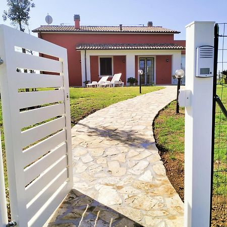 Villetta Fedora Immersa Nel Verde Cecina  Εξωτερικό φωτογραφία