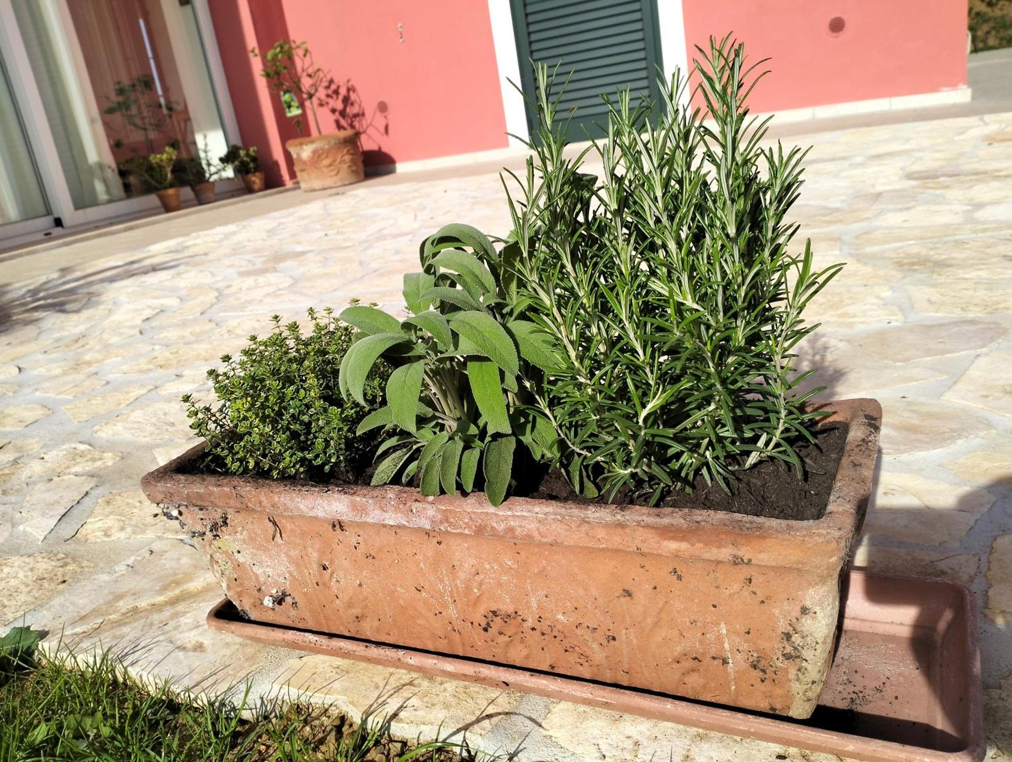 Villetta Fedora Immersa Nel Verde Cecina  Εξωτερικό φωτογραφία