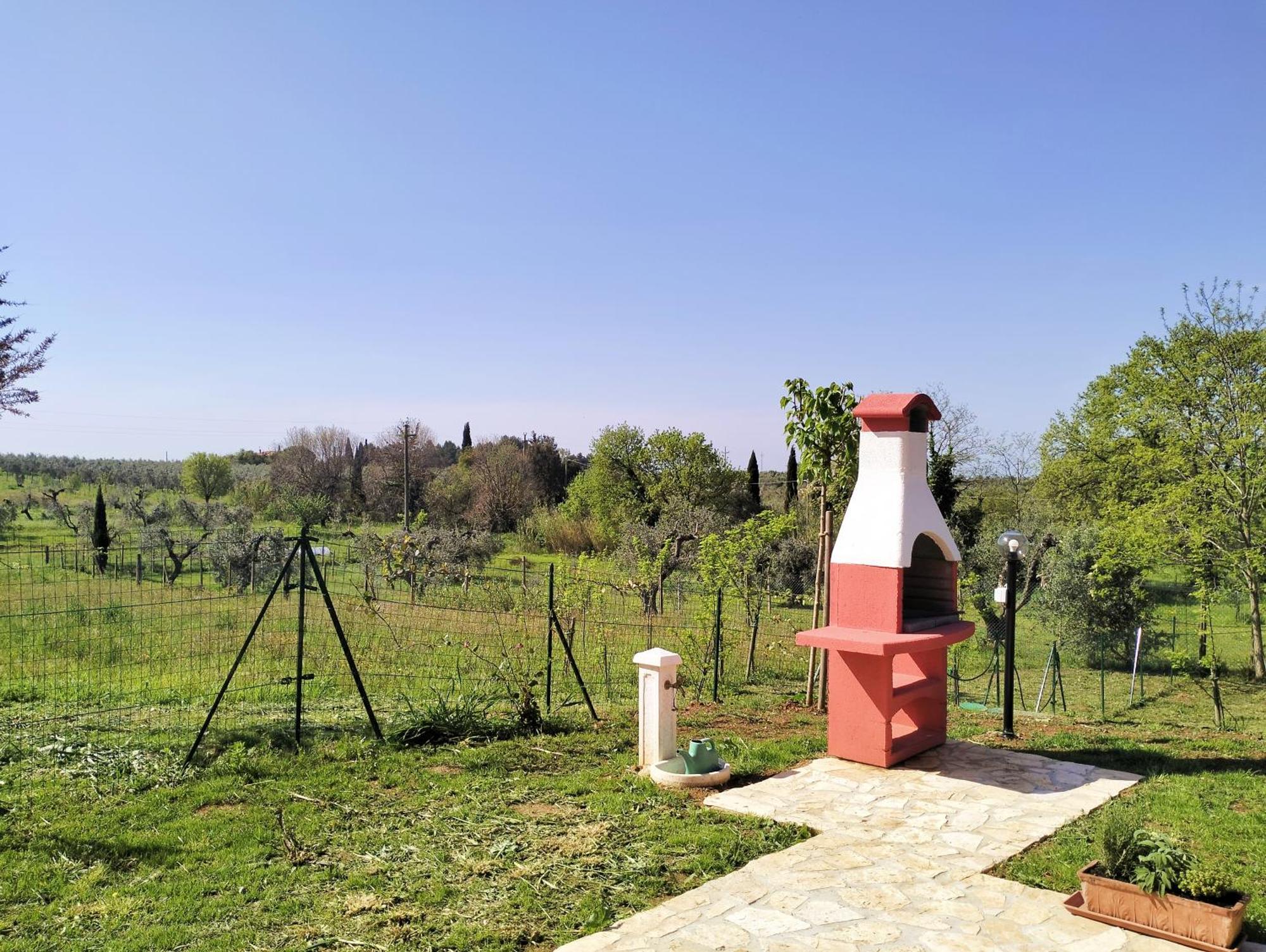 Villetta Fedora Immersa Nel Verde Cecina  Εξωτερικό φωτογραφία